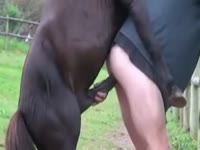 Sexy horse unbelievably bangs its mistress near the stables